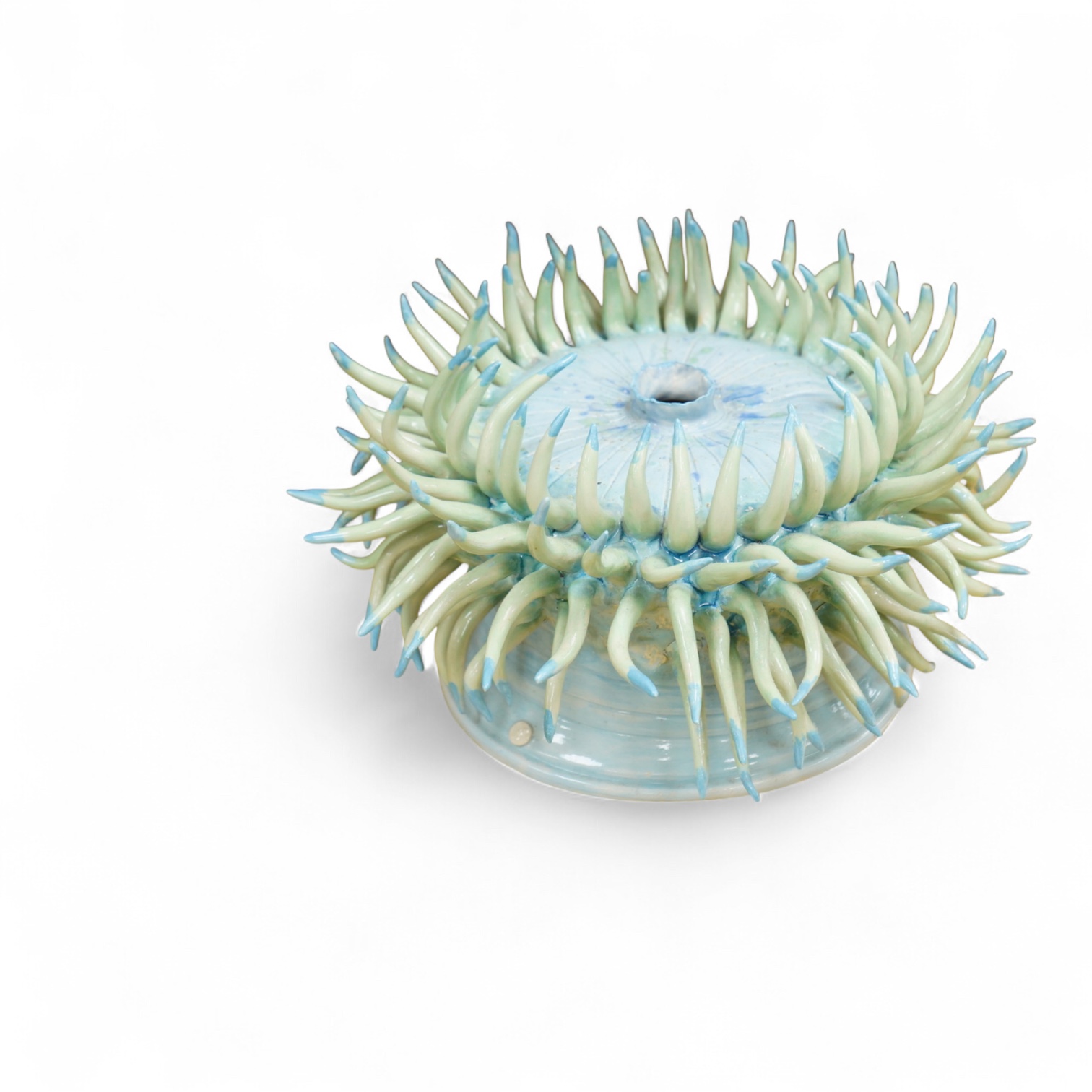 Frances Doherty, a Long Tentacle Anemone ceramic sculpture, 36cm in diameter
